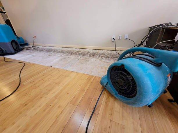 Professional Flood Damage Cleanup technician working in Sioux Falls, SD